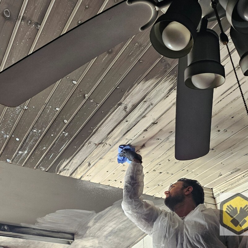 Fire and Smoke Damage Restoration